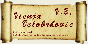 Višnja Belobrković vizit kartica